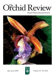 Sobralia dichotoma, by M. Aubron, 2006 Orchid Review