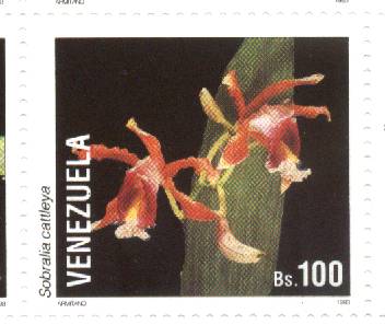 Sobralia cattleya stamp from Venezuela