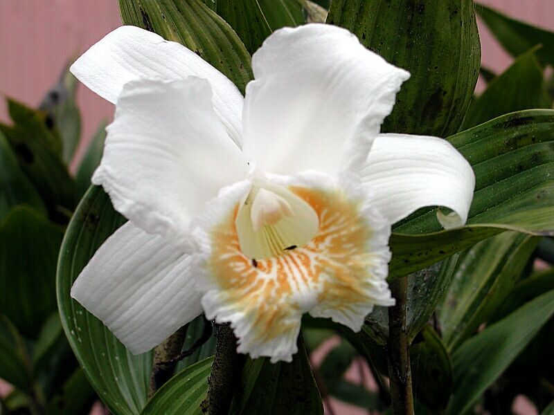 Photo by Walter Schug